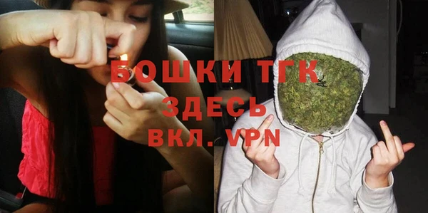бошки Бородино