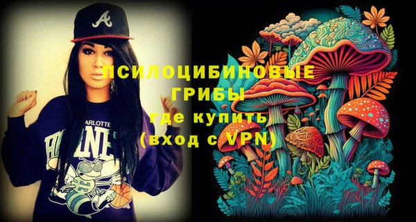 бошки Бородино