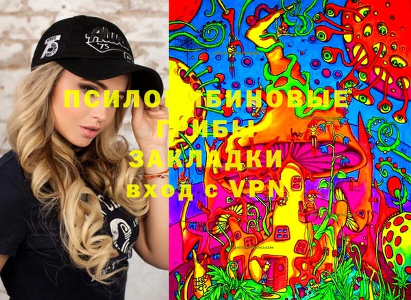 бошки Бородино