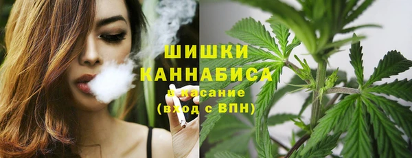 бошки Бородино