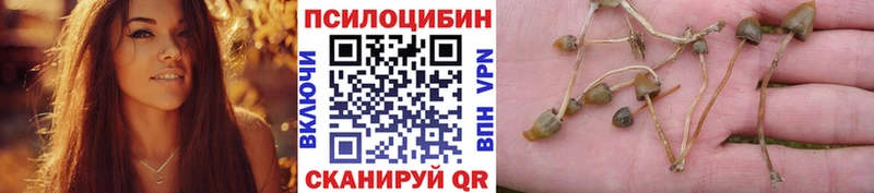 Псилоцибиновые грибы ЛСД  Тюмень 